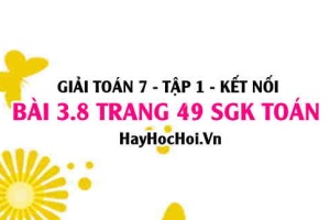 Giải bài 3.8 trang 49 Toán 7 Tập 1 SGK Kết nối tri thức